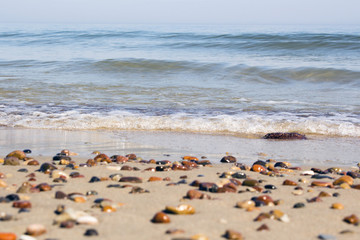 Fototapeta na wymiar Small rocks scattered on beach sand close up.