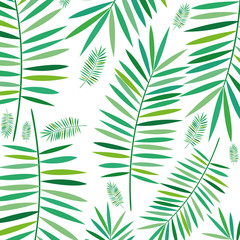 Fototapety  tropikalne liście dekoracyjny wzór wektor ilustracja projekt