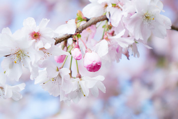 Obraz premium bunter farbkasten