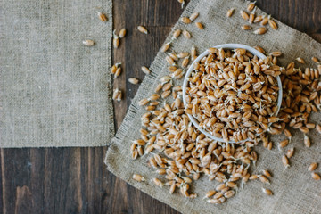 wheat sprouts in a white ceramic bowl standing on piece of fabric material.