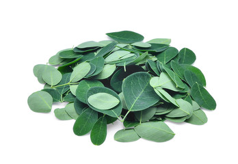 Naklejka premium pile of fresh moringa leaves isolated on white background