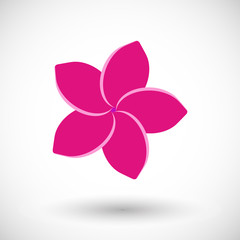 Frangipani flat vector icon