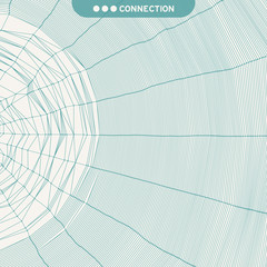 Cobweb or spider web. Network abstract background. Connection Structure. 3D technology style. Wireframe vector illustration.