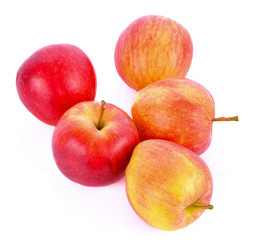 Apples on a white background