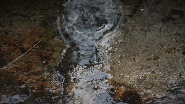 slow motion of raindrop fall on cement ground