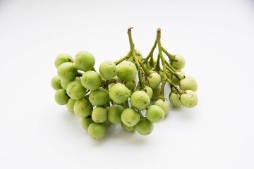 isolated of eggplant on white background.