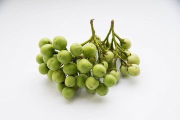 isolated of eggplant on white background.