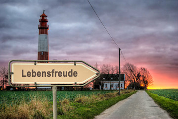 Schild 243 - Lebensfreude