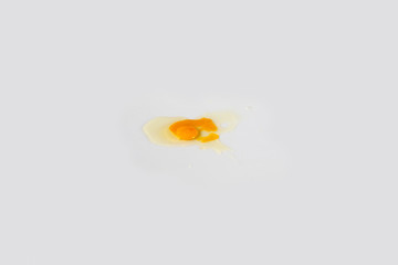 Inside the egg