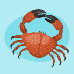 Cartoon crab vector flat illustration fresh seafood icon cute red marine life animal character