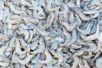 Fresh prawns at fish market in Chonburi, Thailand