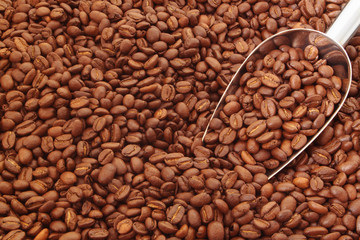 Roasted arabica coffee beans and metallic shovel