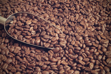 Roasted arabica coffee beans and metallic shovel