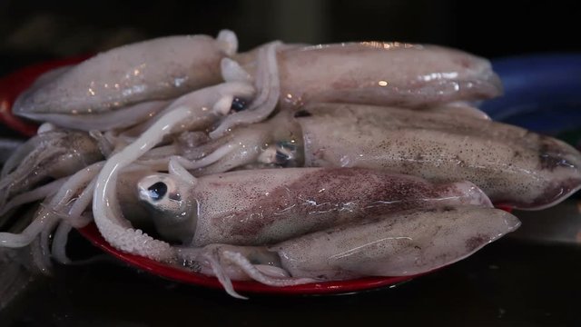 Fresh squid is put on a plate to sell
