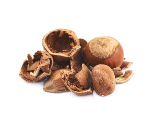 Pile of hazelnut shells isolated