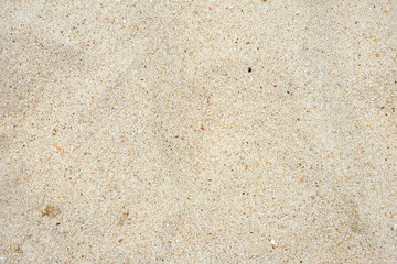 White sand beach background