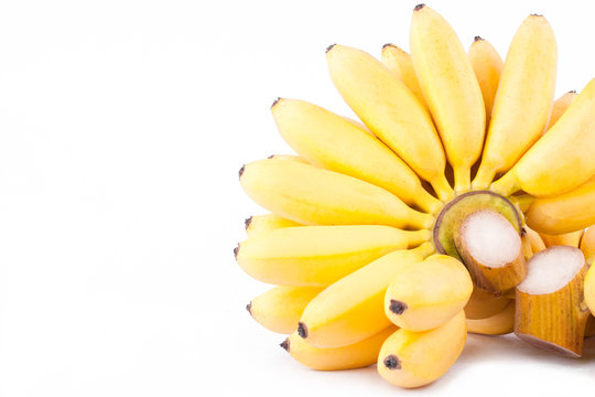ripe egg banana and  hand of golden bananas   on white background healthy Pisang Mas Banana fruit food isolated

