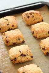 チョコチップスコーン