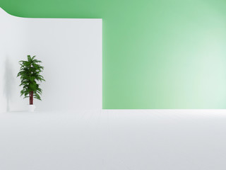 green plant near white screen, 3d