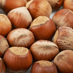 Surface coated with hazelnuts