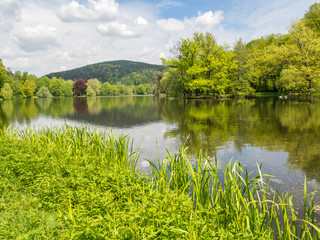 Greizer Schlossteich