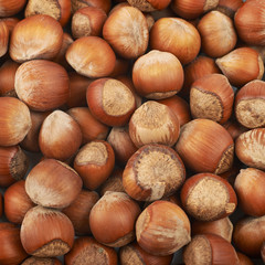 Surface coated with hazelnuts