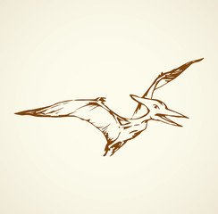 Pterodactyl. Vector drawing © Marina