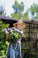 Kobieta zbiera warzywa w ogrodzie warzywnym
