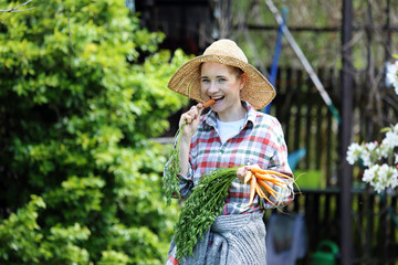 Zdrowa dieta. ogrodnik je marchewkę zerwaną w ogrodzie - obrazy, fototapety, plakaty