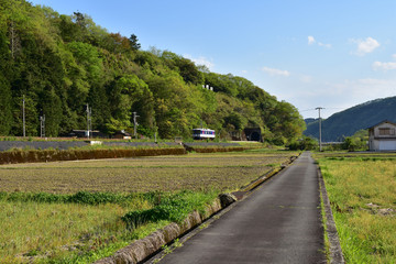 一両列車
