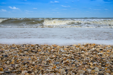Bubble sea and seashell on the beach. (Un-focus image)