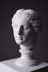 gypsum statue head