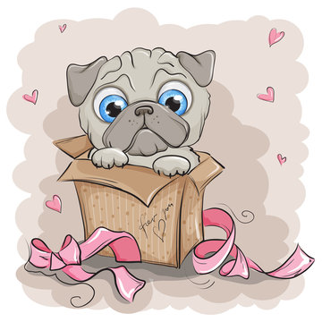 Beautiful & cute puppy pug dog gift box