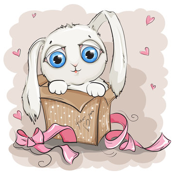 Beautiful and cute white rabbit in a gift box