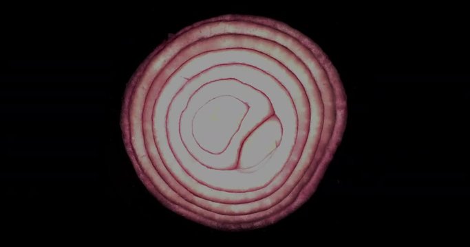 Slicing through a red onion in stop motion animation. Filmed on black background. Cool modern cookery and food awareness concept. Fresh Fruit and Vegetables