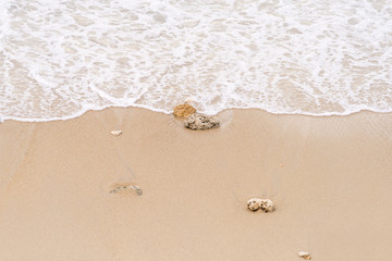 Wave on to the beach