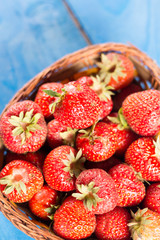 Full basket with fresh dirty of soil red strawberries above blue