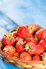 Full basket with fresh dirty of soil red strawberries above blue