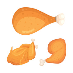Beautiful delicious fried chicken set of illustrations in cartoon style. Fresh fast food fry meat.