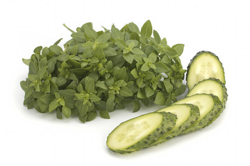 Fresh green basil and sliced cucumber on a white background. Isolated