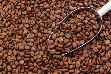 Arabica coffee beans and metallic shovel close up