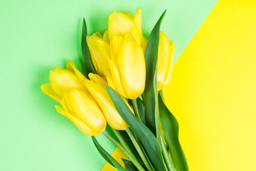 Naklejka premium Bouquet of beautiful fresh yellow tulips on yellow and green background background