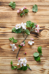 Tree twigs with blooming flowers on wooden background