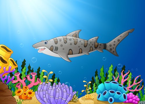 Cartoon shark fish in the beautiful underwater 