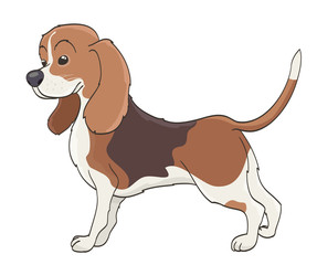 cartoon dog on white. vector illustration