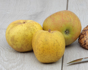Fresh fruit on the chopper
