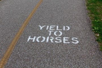 The sign painted white on the sidewalk on a close up view.