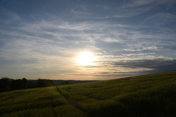 Schöner Himmel im Frühling