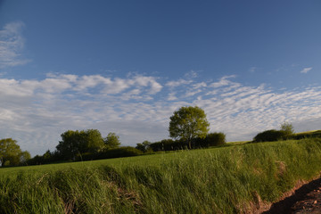 Obraz premium Schön Wetter Himmel