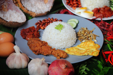 Asian food nasi lemak